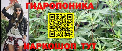 apvp Балашиха