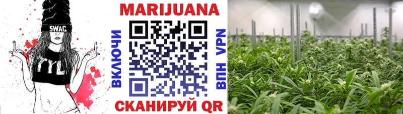 Бошки Шишки White Widow  купить   Луга 