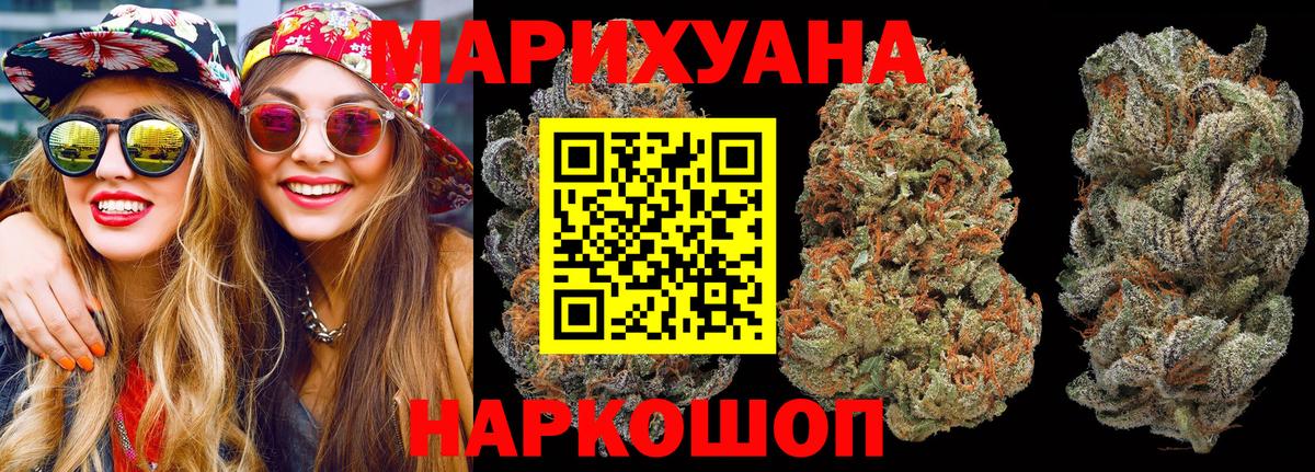Канабис планчик  Вход с VPN  Конопля AK-47  Луга  Каннабис ГИДРОПОН 